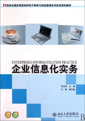 企業(yè)信息化實務(wù) 現(xiàn)代管理變革與數(shù)字化轉(zhuǎn)型的實踐指南