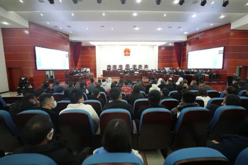 績溪特大涉稅案一審宣判 39人虛開增值稅發(fā)票近億元獲刑